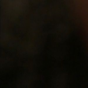 Meet your Posher, Niko